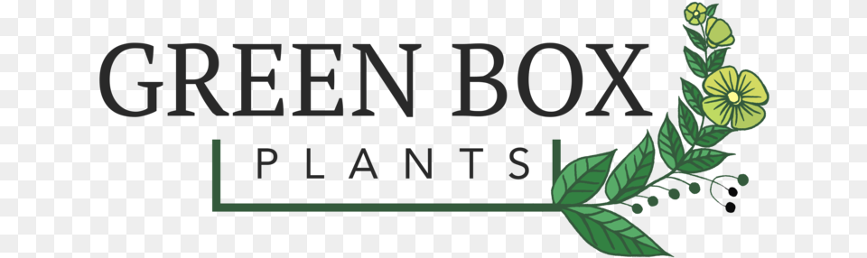 Green Box Plants Nokia X6 Black Black, Bud, Flower, Leaf, Plant Free Png