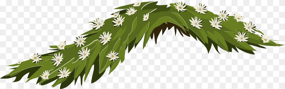 Green Branch Flower Clipart, Daisy, Plant, Graphics, Art Free Png Download