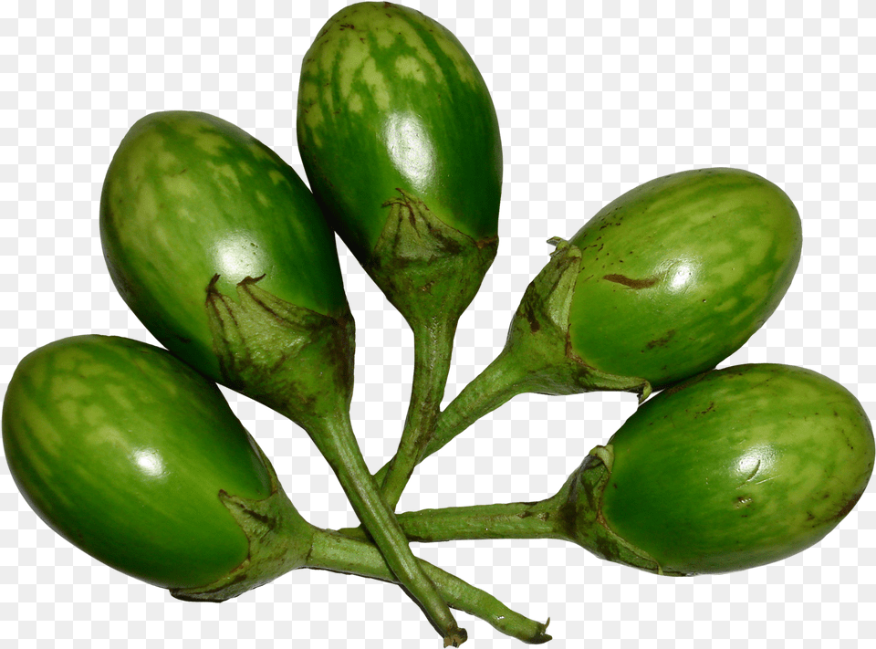 Green Brinjal, Food, Plant, Produce, Eggplant Free Png Download