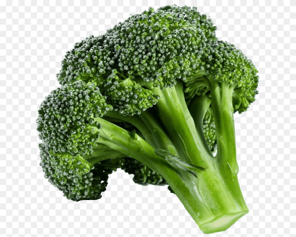 Green Broccoli Background Broccoli, Food, Plant, Produce, Vegetable Free Png Download