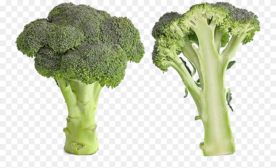 Green Broccoli File Bad Broccoli, Food, Plant, Produce, Vegetable Png Image
