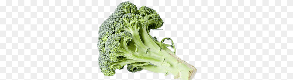 Green Broccoli Transparent Hd Photo Broccoli, Food, Plant, Produce, Vegetable Free Png