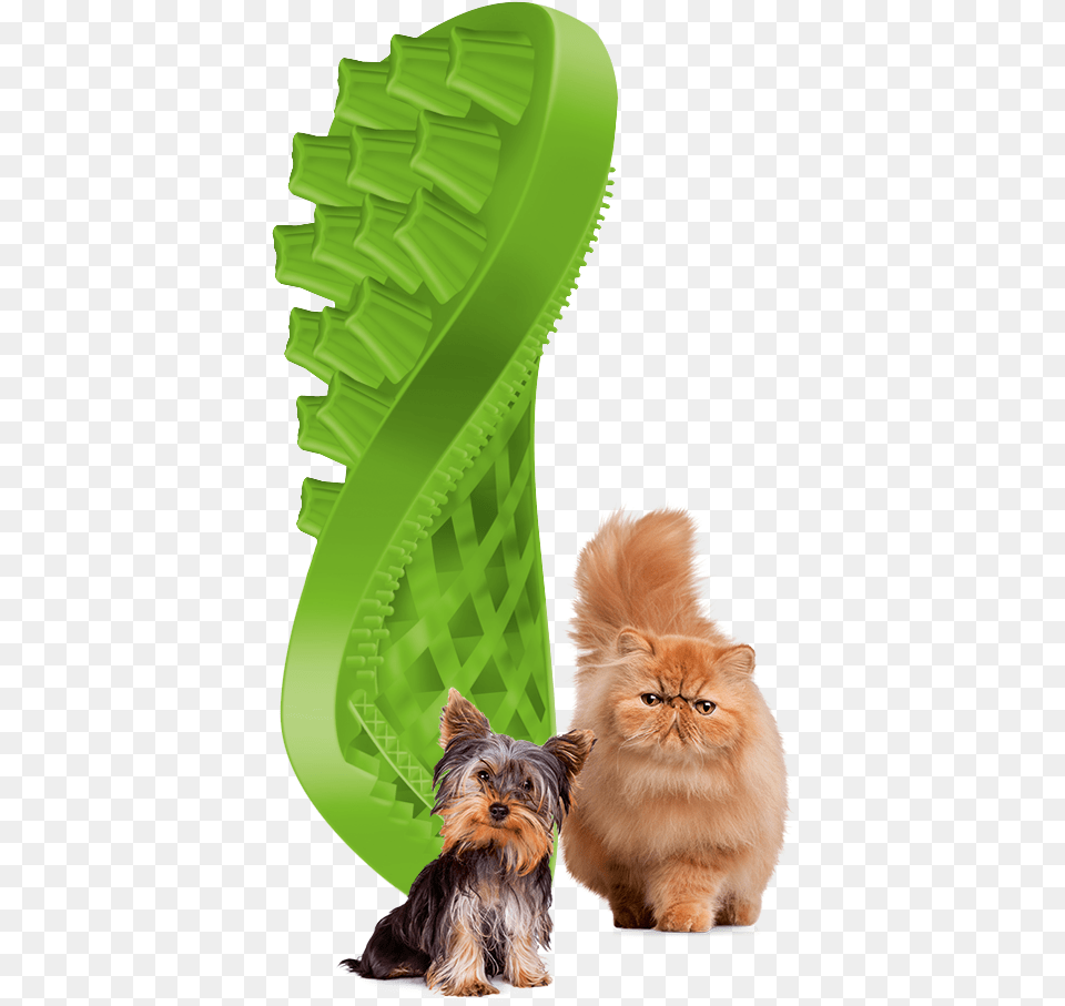 Green Brush With Animals Petlife Petme Grooming Brush For Cats Ideas 4 Pets, Animal, Canine, Dog, Mammal Free Png