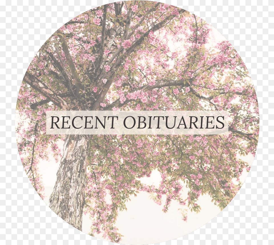 Green Burial Resources And Cemeteries Circle, Photography, Flower, Plant, Cherry Blossom Free Png Download