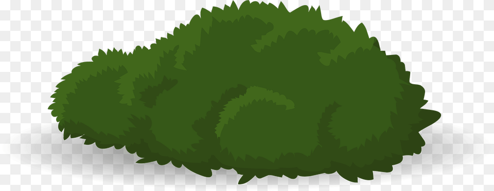 Green Bush Clipart, Grass, Moss, Plant, Tree Png Image