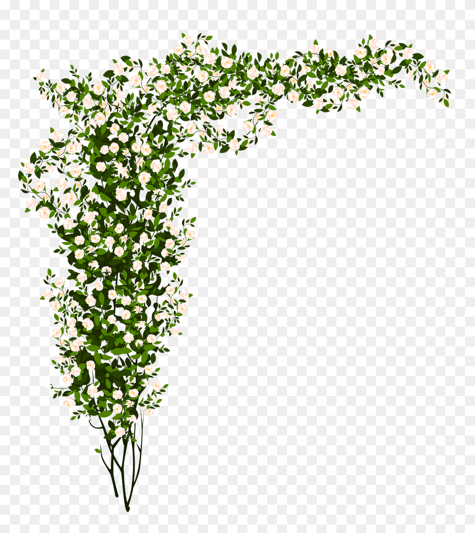 Green Bush Cliparts, Art, Floral Design, Graphics, Pattern Free Transparent Png