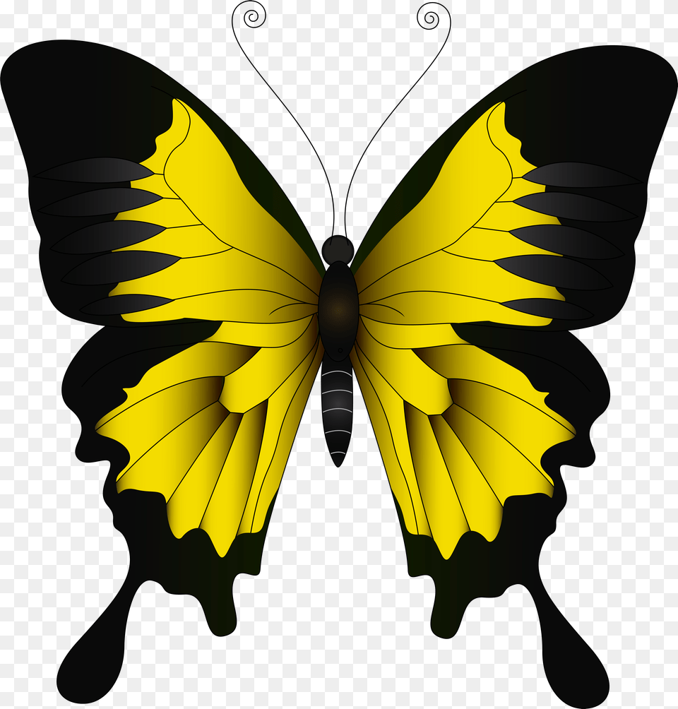 Green Butterfly, Leaf, Plant, Animal, Insect Free Transparent Png