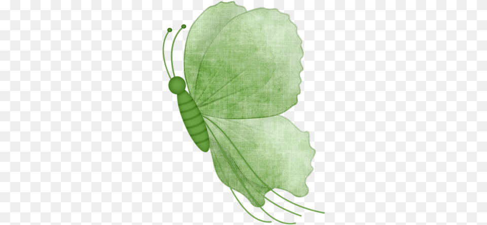 Green Butterfly Butterfly, Leaf, Plant, Animal Free Png