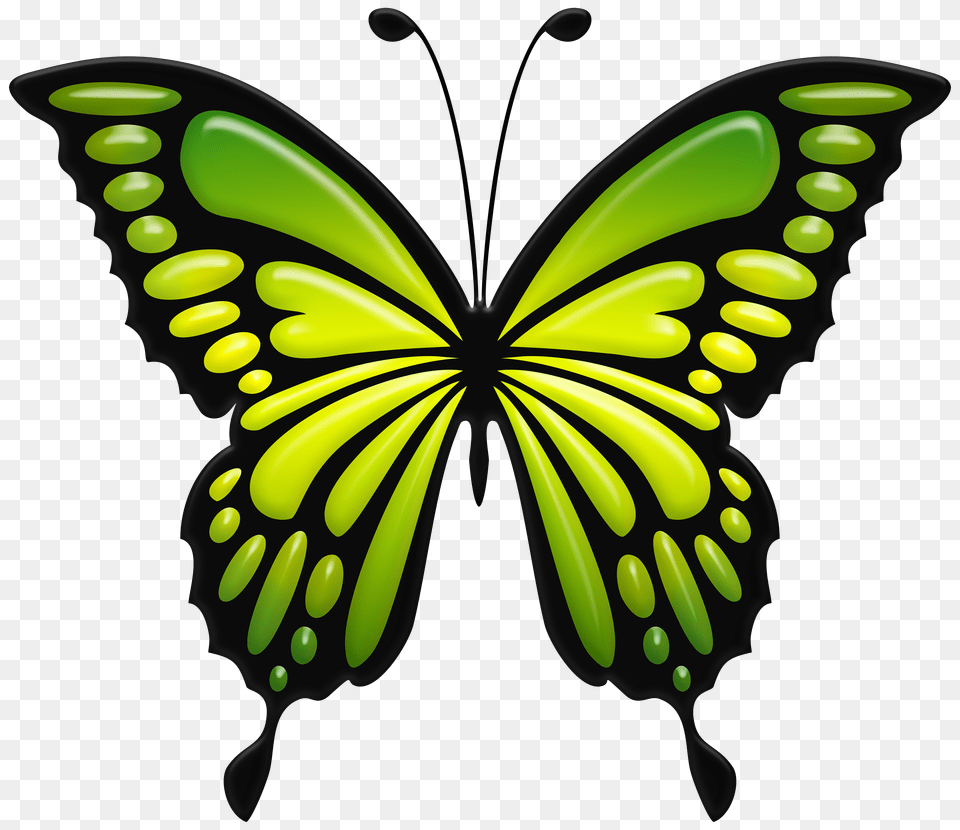 Green Butterfly Clip Art Free Png Download