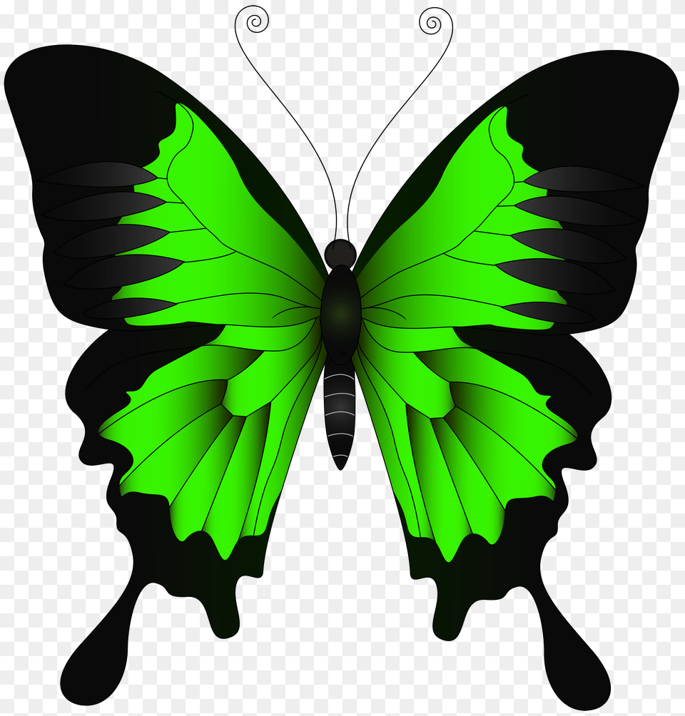 Green Butterfly Clip Art, Leaf, Plant Free Png Download