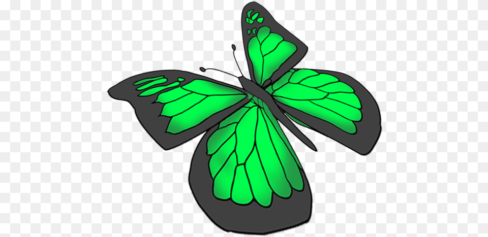 Green Butterfly Drawing Green Butterfly Background, Leaf, Plant, Flower, Art Free Transparent Png