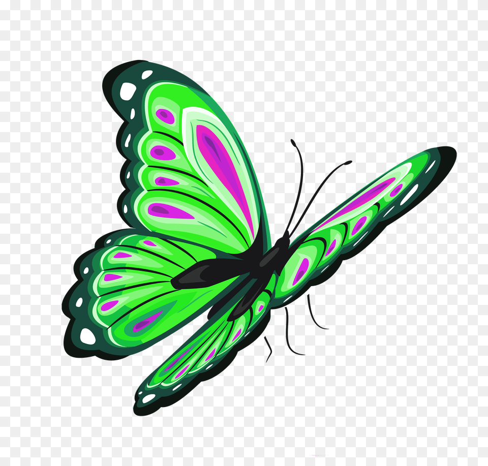 Green Butterfly Group With Items, Tool, Device, Plant, Grass Png