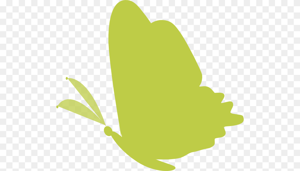 Green Butterfly Vector, Herbal, Herbs, Leaf, Plant Free Transparent Png