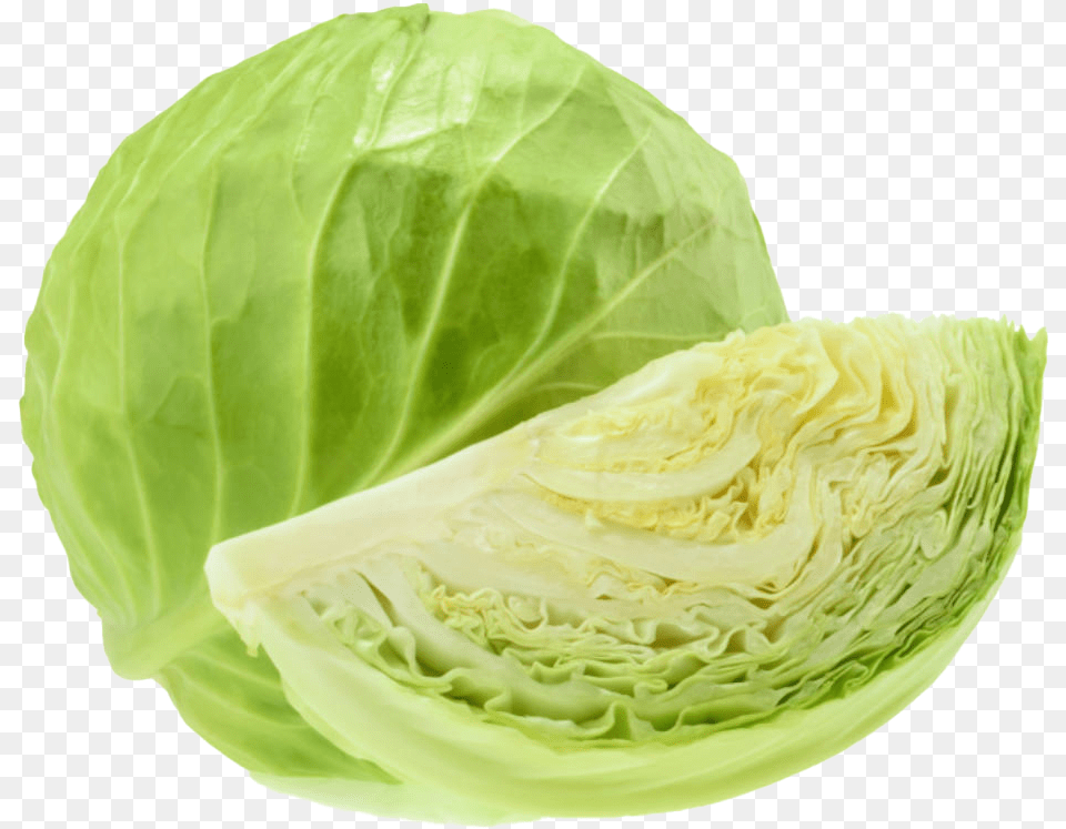 Green Cabbage, Food, Leafy Green Vegetable, Plant, Produce Png Image