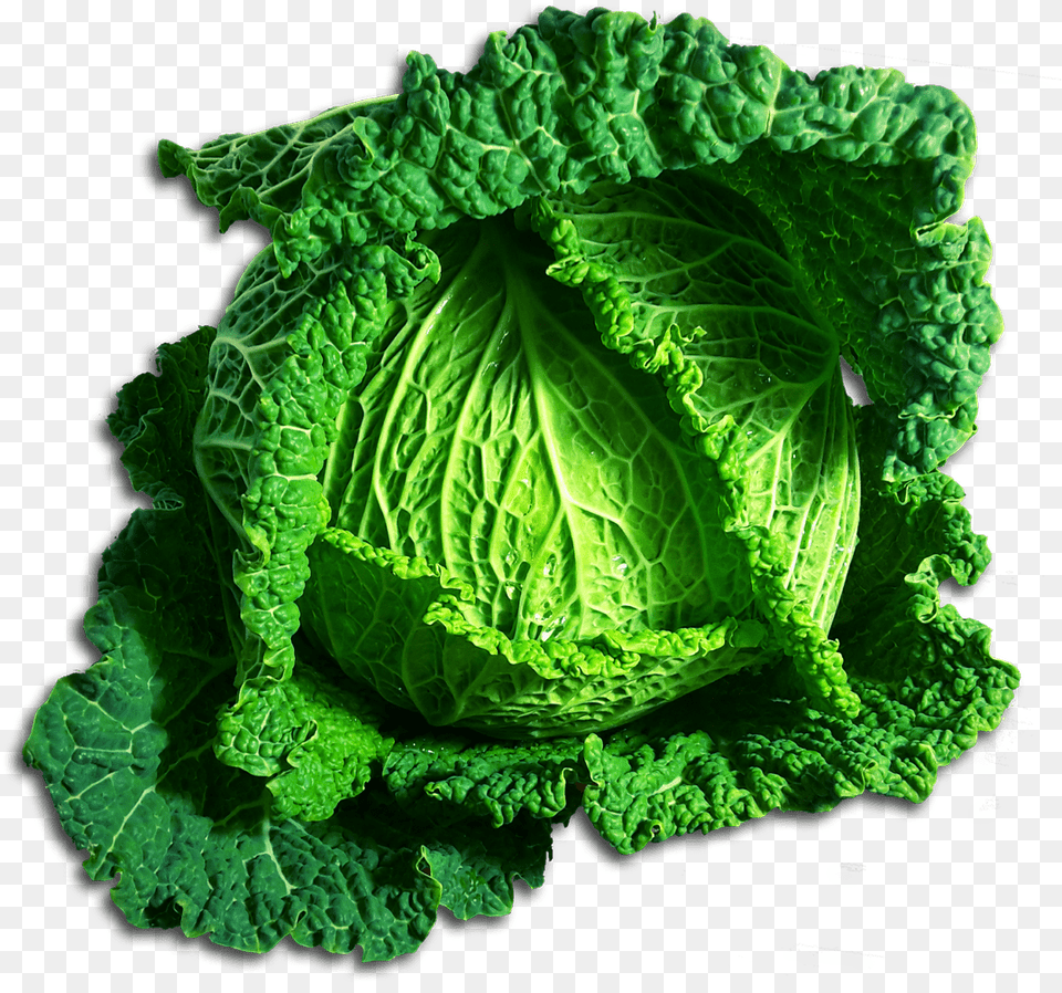 Green Cabbage Chou Clipart, Food, Leafy Green Vegetable, Plant, Produce Png Image