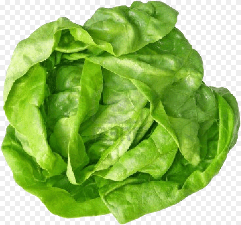 Green Cabbage Image Download, Food, Lettuce, Plant, Produce Free Transparent Png