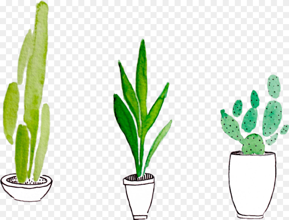 Green Cactus Sticker Watercolor Paint, Plant, Potted Plant, Leaf Free Png