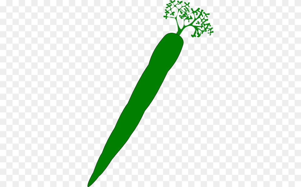 Green Carrot Clip Arts For Web, Food, Plant, Produce, Vegetable Png