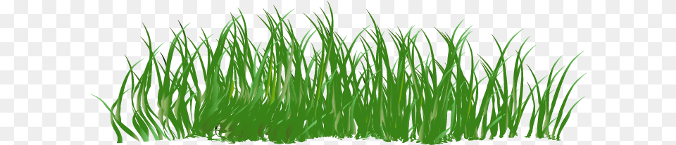 Green Cartoon Cartoon Green Grass, Aquatic, Plant, Vegetation, Water Free Png Download