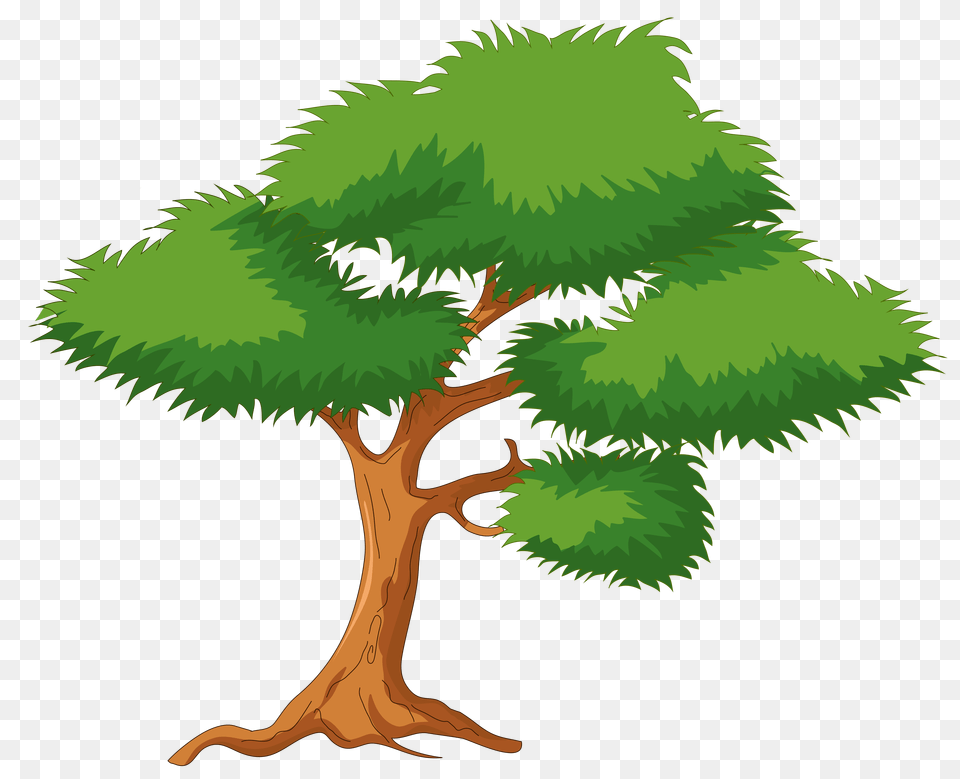 Green Cartoon Tree Clip Art, Plant, Conifer, Vegetation, Pine Free Png Download