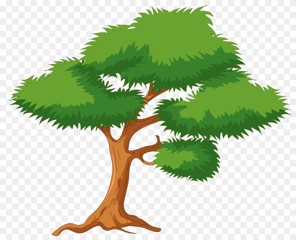 Green Cartoon Tree Clip Art, Plant, Potted Plant, Conifer, Vegetation Free Png