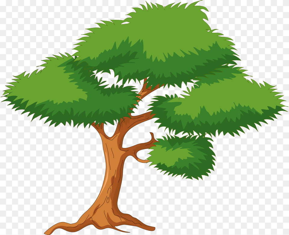 Green Cartoon Tree Clip Art Tree With Branches Cartoon, Plant, Potted Plant, Vegetation, Conifer Free Transparent Png