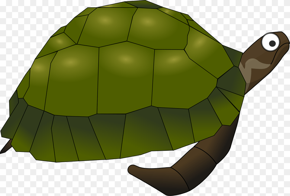 Green Cartoon Turtle Icons, Animal, Reptile, Sea Life, Tortoise Free Png Download