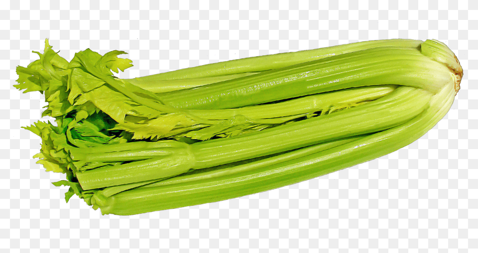 Green Celery, Food, Produce, Leek, Plant Free Png