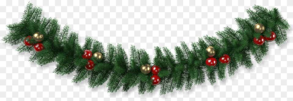 Green Christmas Pine Branch Decoration Vector Christmas Pine Branch, Plant, Tree, Accessories, Conifer Free Transparent Png