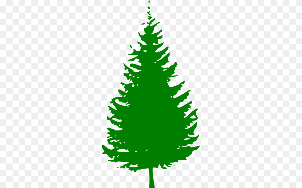 Green Christmas Tree Large Size, Fir, Pine, Plant, Conifer Png