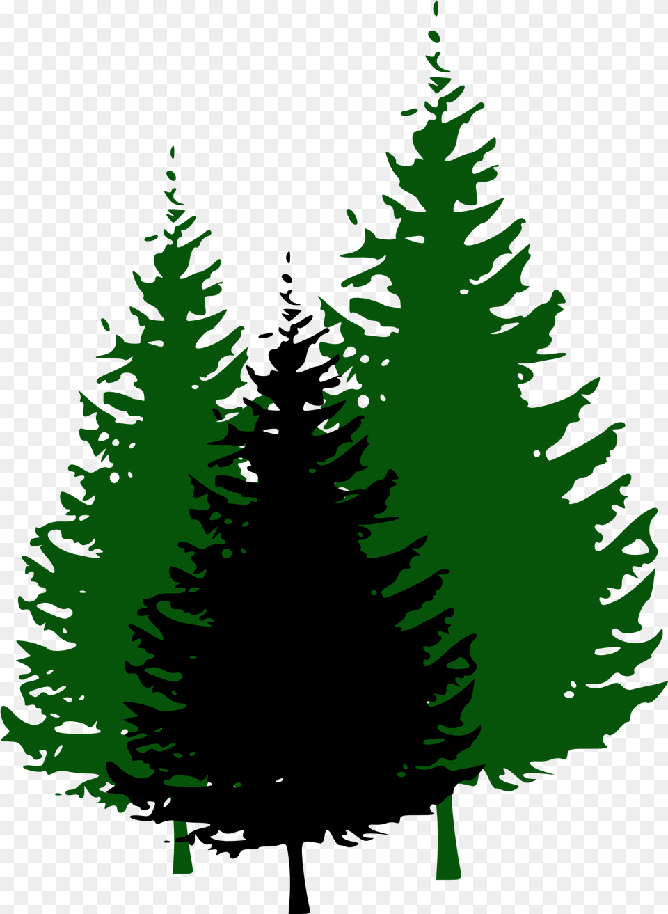 Green Christmas Tree Silhouettes Clipart Pine Tree Silhouette, Fir, Plant, Conifer, Person Free Png Download