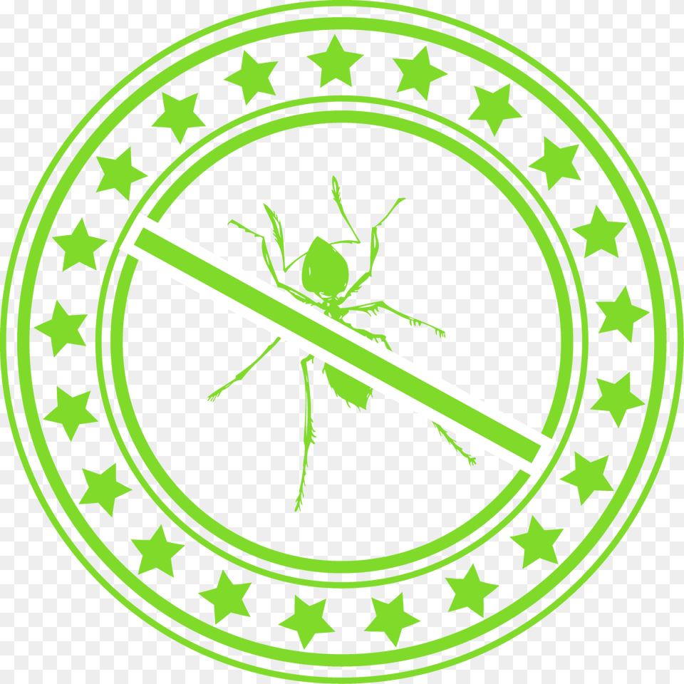 Green Circle With Star Border And A Green Ant With Vector Graphics, Animal Free Png Download