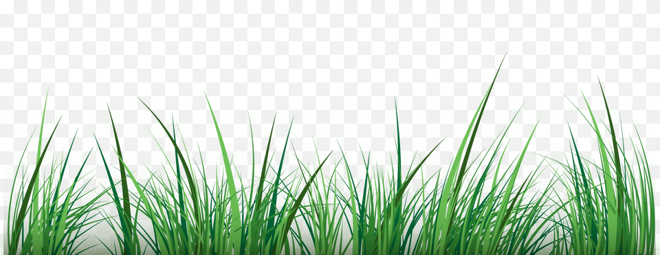 Green Clip Art Portable Network Graphics, Grass, Plant, Vegetation, Lawn Free Png Download