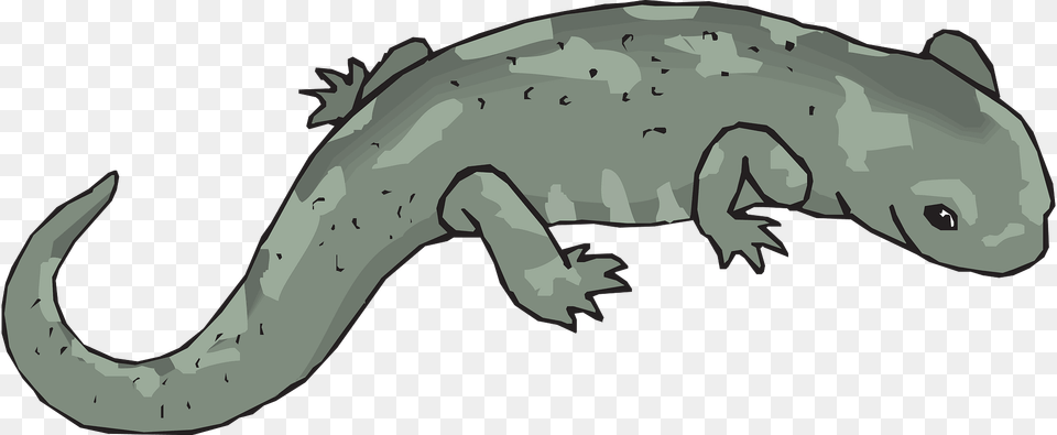 Green Clipart, Wildlife, Animal, Salamander, Amphibian Png