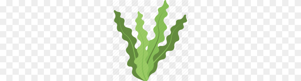 Green Clipart, Leaf, Plant Png