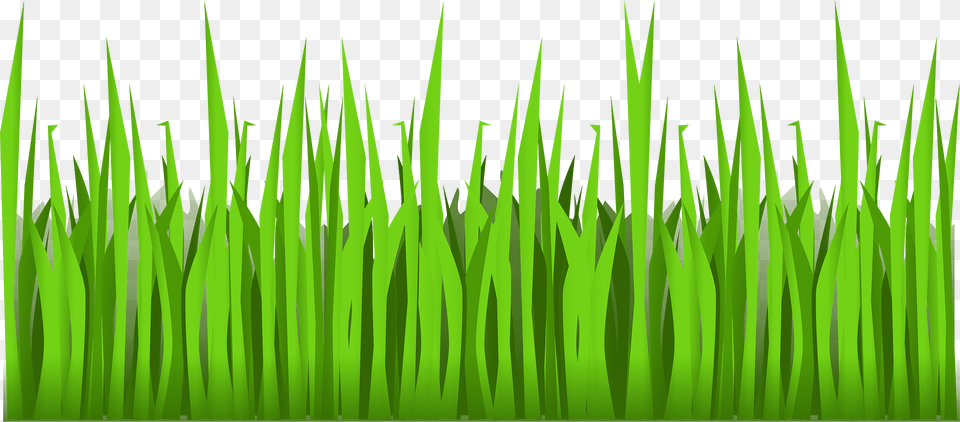 Green Clipart, Grass, Lawn, Plant, Vegetation Free Png Download