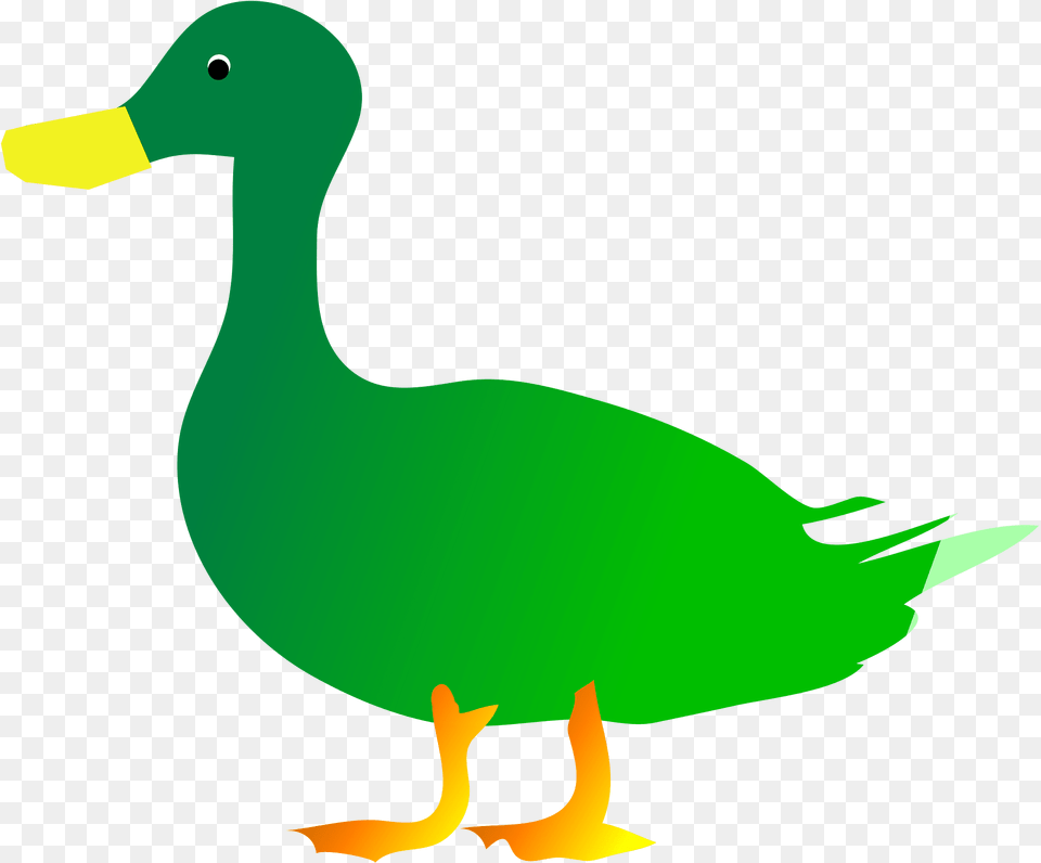 Green Clipart, Animal, Bird, Duck, Beak Free Png