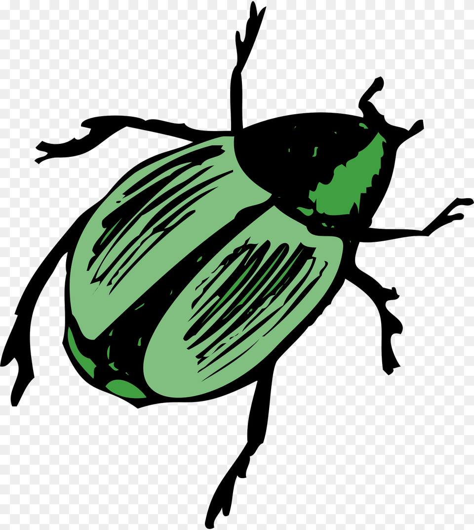 Green Clipart, Animal, Dung Beetle, Insect, Invertebrate Png