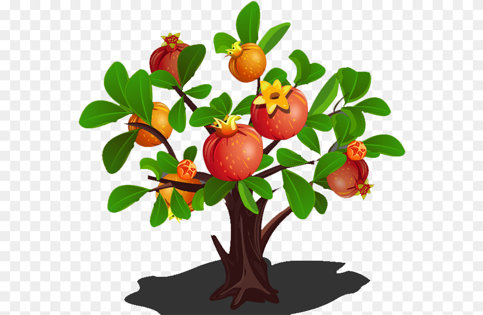 Green Clipart Apple Tree Pomegranate Tree Clipart, Food, Fruit, Plant, Produce Free Transparent Png