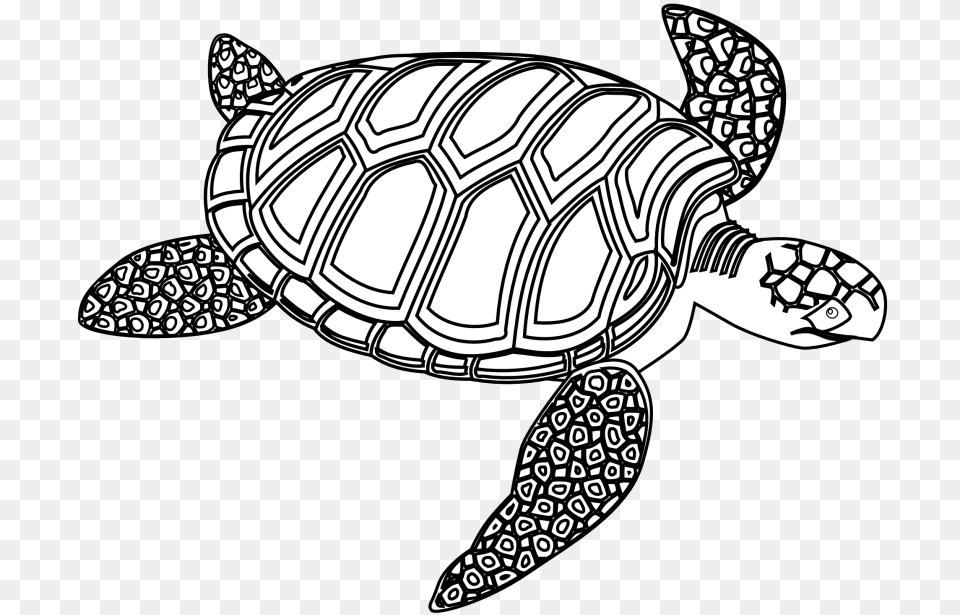 Green Clipart Black And White, Animal, Reptile, Sea Life, Tortoise Free Transparent Png