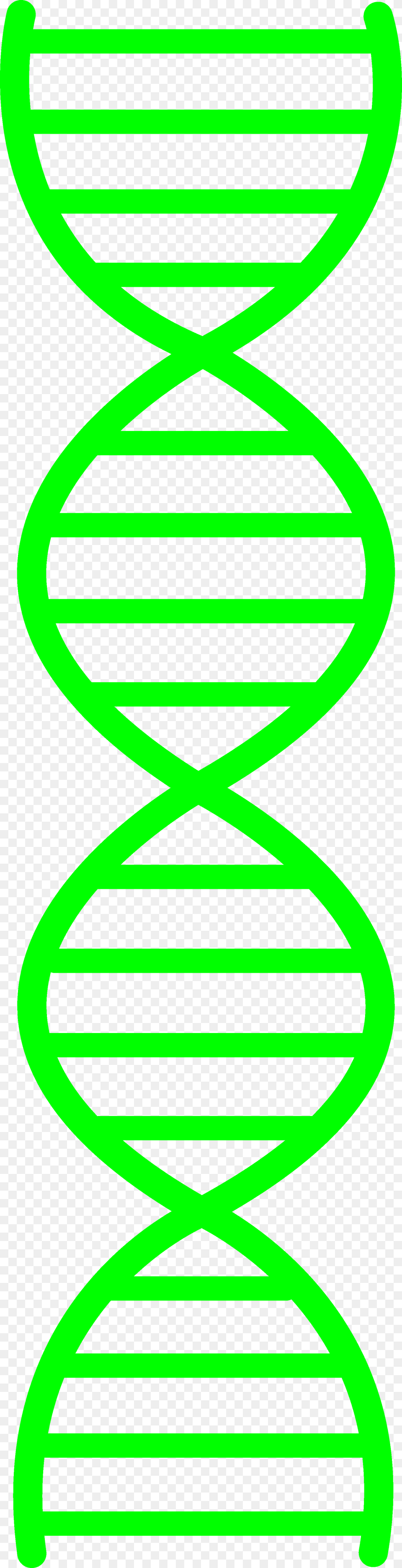 Green Clipart Dna Double Helix Clipart, Coil, Spiral Png