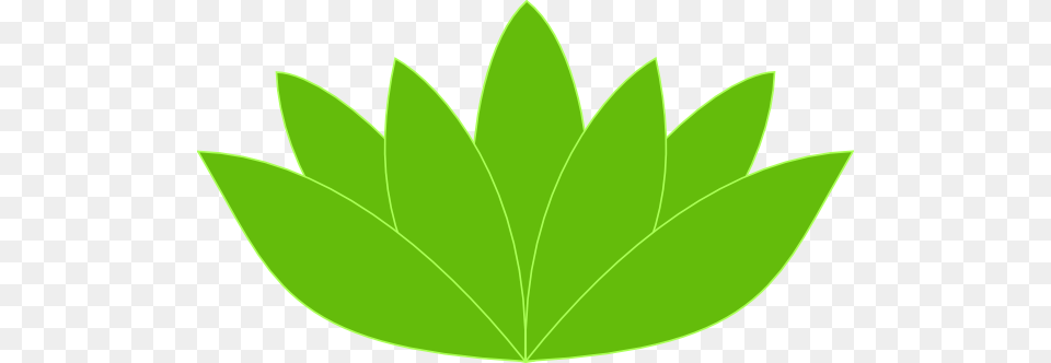 Green Clipart Lotus Flower, Herbal, Herbs, Leaf, Plant Free Png