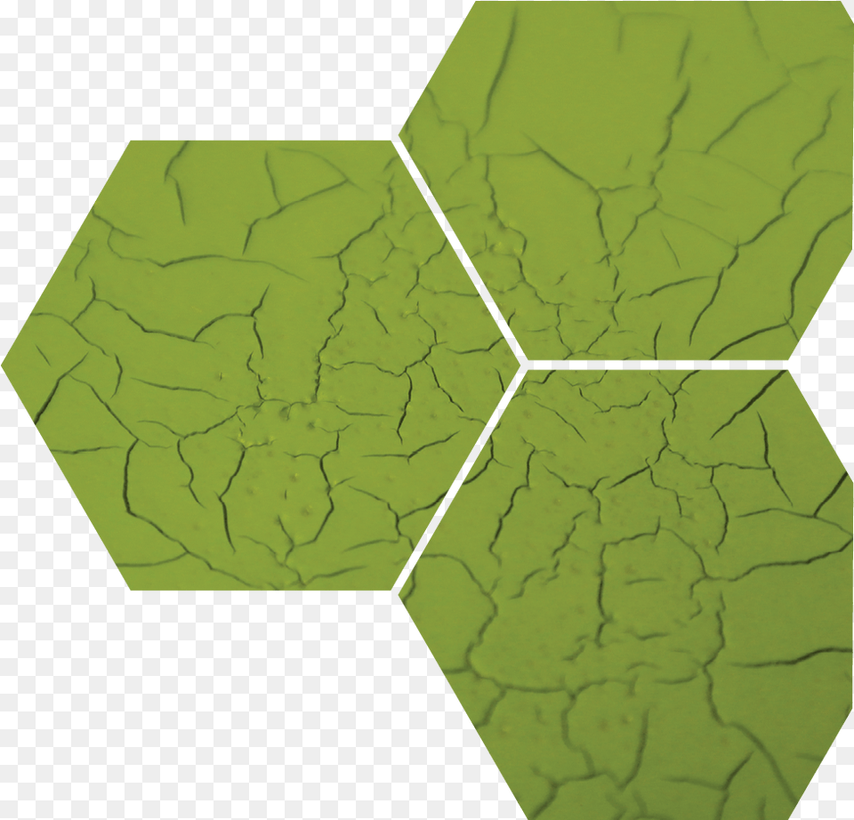 Green Coating Failure 7 Factors Of User Experience, Leaf, Plant Png