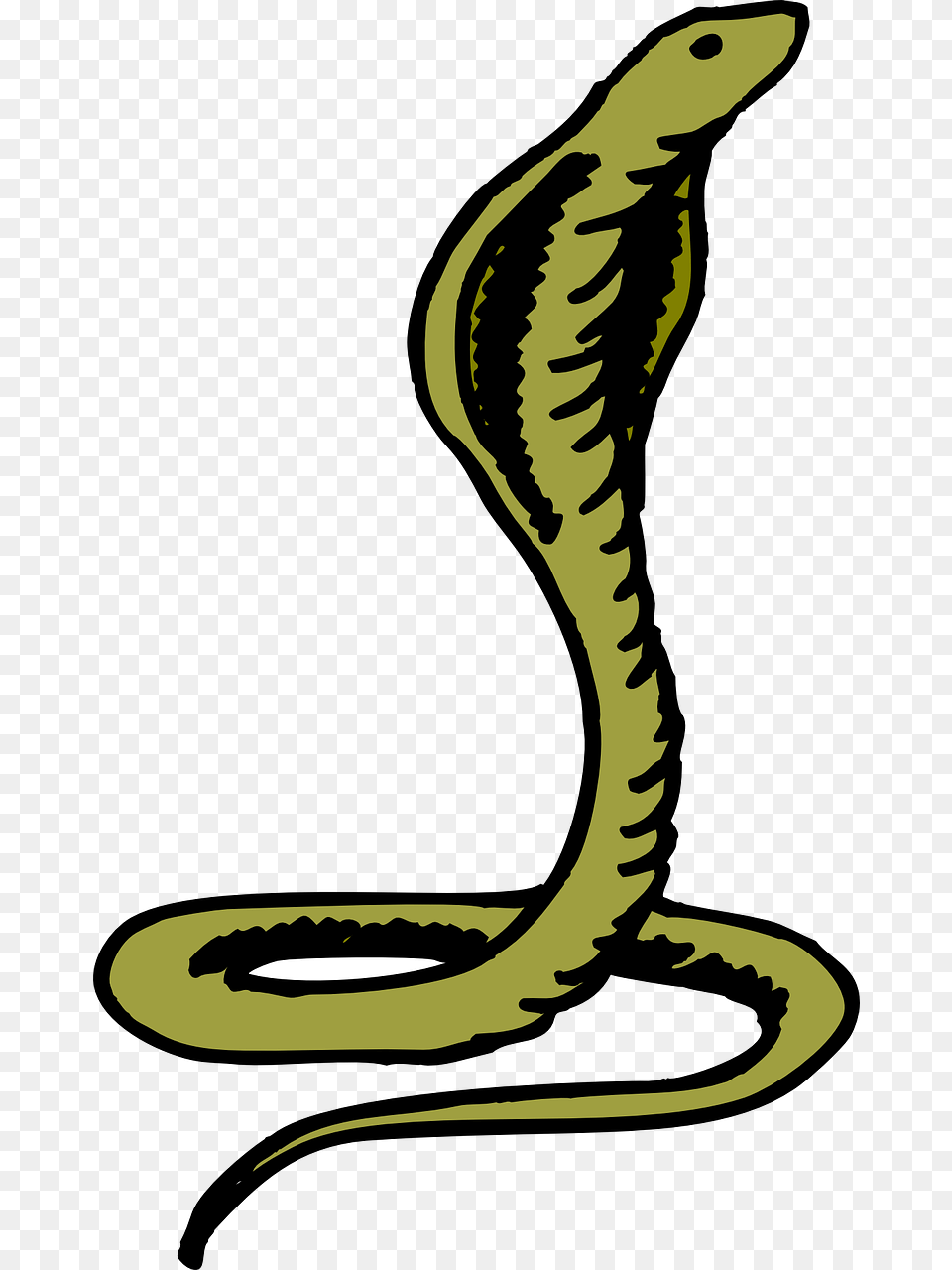 Green Cobra, Animal, Reptile, Snake, Fish Free Png