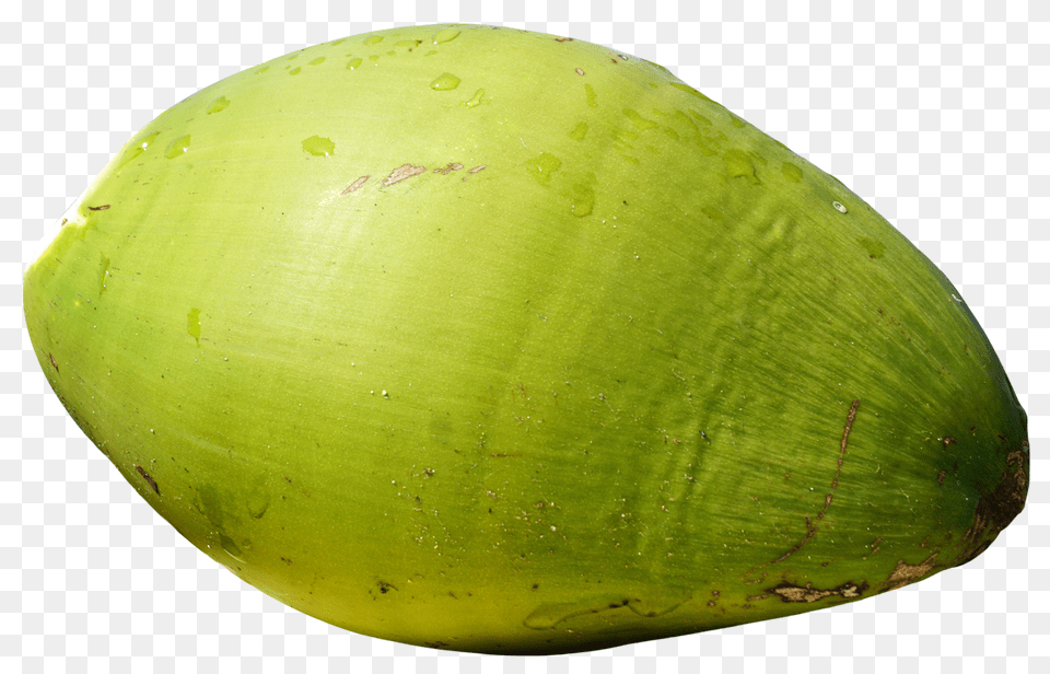 Green Coconut Fruit Image, Food, Plant, Produce Free Png Download