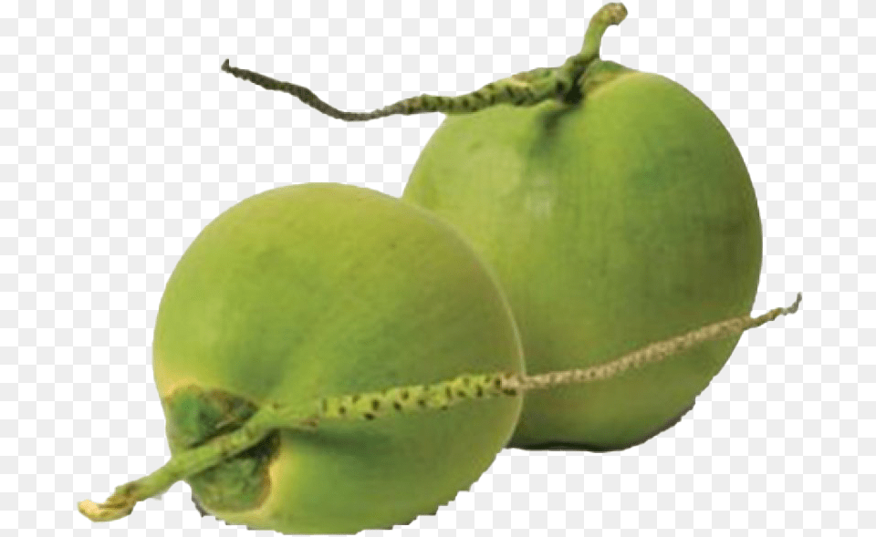 Green Coconut High Quality Image, Food, Fruit, Plant, Produce Png