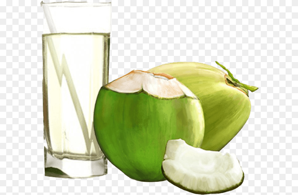Green Coconut Pic Coconut Water Images, Food, Fruit, Plant, Produce Free Png