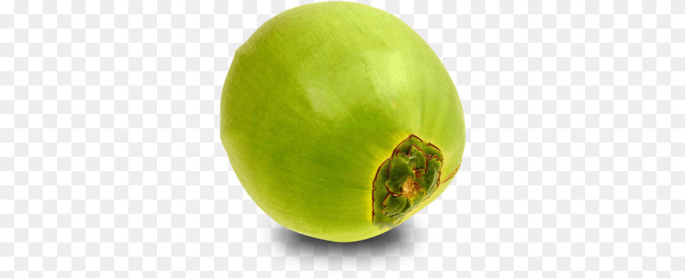 Green Coconut Picture Transparent Green Coconut, Produce, Plant, Food, Fruit Png