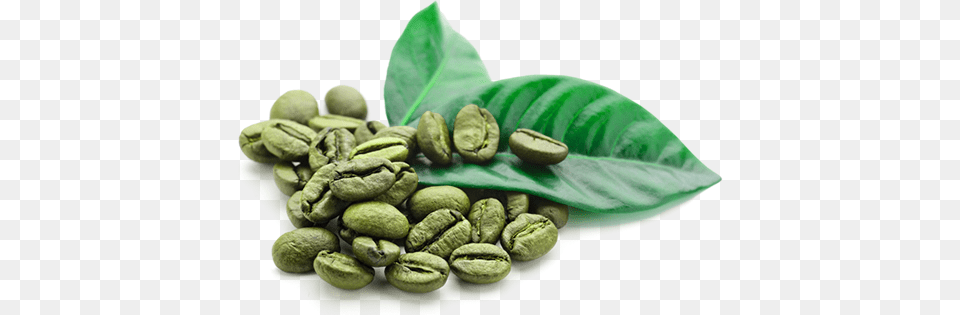 Green Coffee Bean Green Coffee Beans, Beverage Free Png