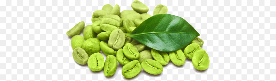 Green Coffee Bean Powder Green Coffee Bean, Beverage Free Transparent Png